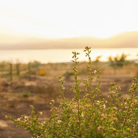 Sky Glamping Boutique Hotel Ramot Kültér fotó